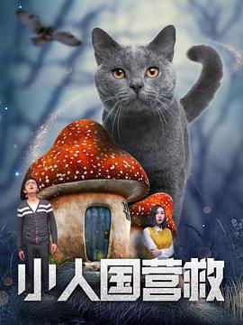 花琉璃轶闻电视剧免费播出