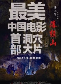 伊人99在线观看